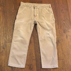 Carhartt Mens pants